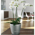 (BC-F1039) Fashionable Design Plastic Self-Watering Flower Pot